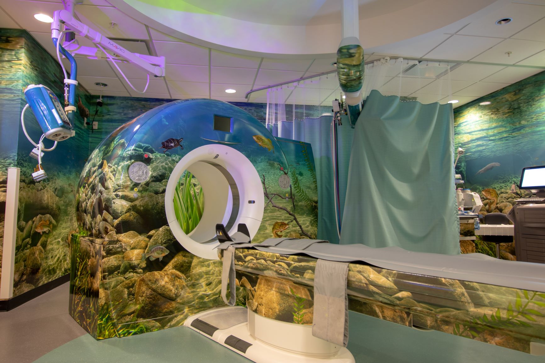Pediatric Vascular and Interventional Procedures